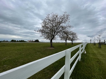 Enlarge photo 29