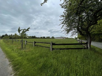 Enlarge photo 30