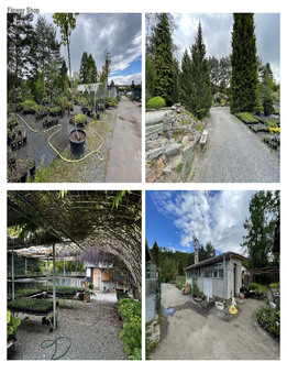 FLOWER SHOP CERNOSICE