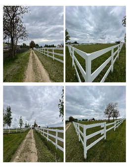 PADDOCK FOR HORSES SYKORICE