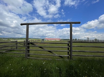Enlarge photo 8