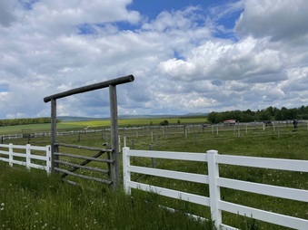 Enlarge photo 10