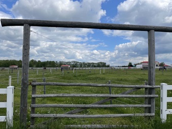 Enlarge photo 11