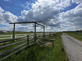 Enlarge photo 16