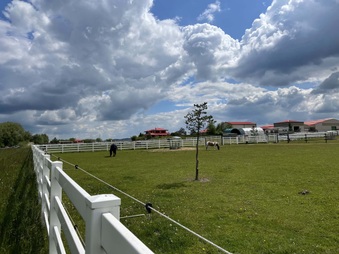 Enlarge photo 21
