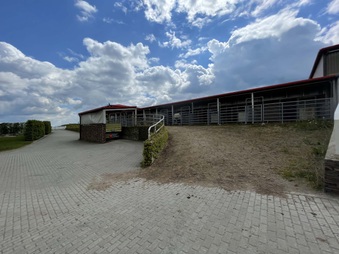 Enlarge photo 34