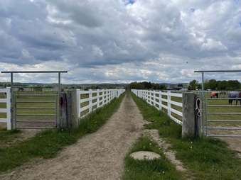 Enlarge photo 37