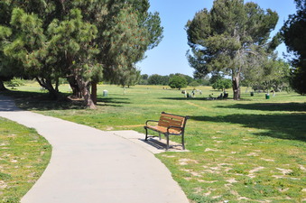 Enlarge photo 5