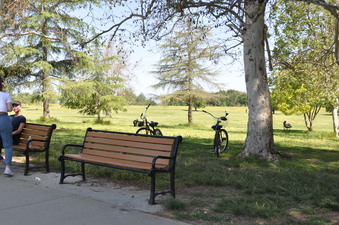 Enlarge photo 11