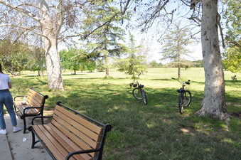 Enlarge photo 12