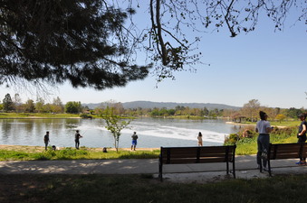 Enlarge photo 13