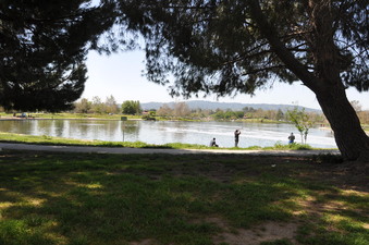 Enlarge photo 15