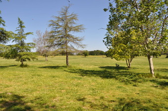 Enlarge photo 17