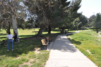 Enlarge photo 18