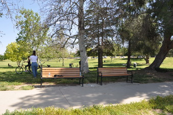 Enlarge photo 19