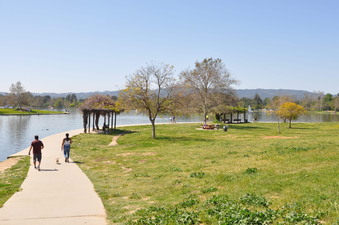 Enlarge photo 24