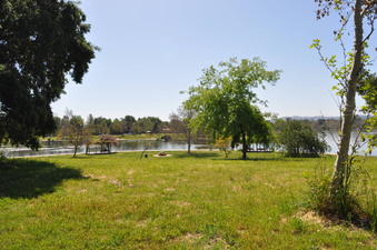 Enlarge photo 28