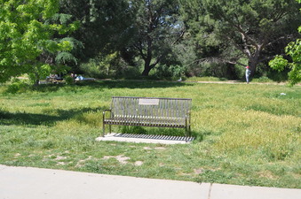Enlarge photo 29