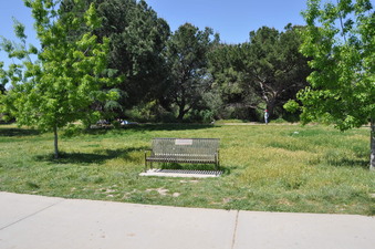 Enlarge photo 30