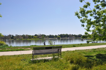Enlarge photo 32