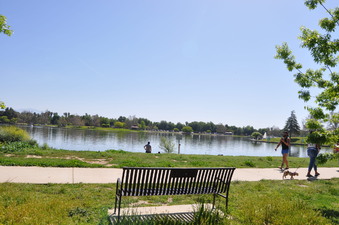 Enlarge photo 33