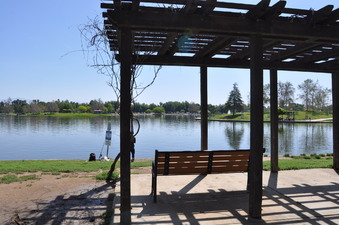Enlarge photo 35
