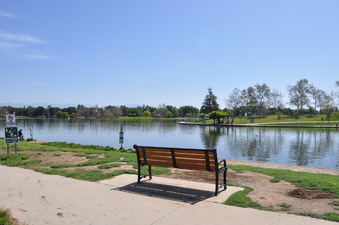 Enlarge photo 36