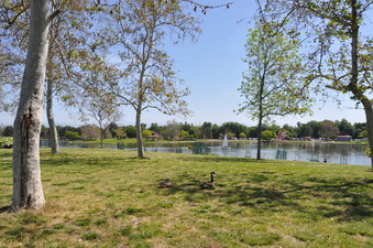 Enlarge photo 37