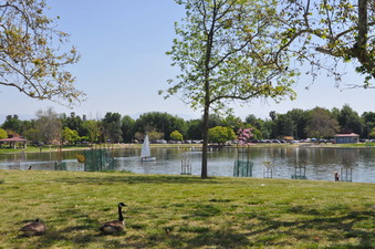 Enlarge photo 38