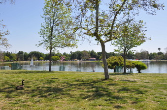 Enlarge photo 39