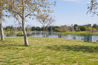 Enlarge photo 40