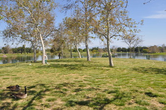 Enlarge photo 41