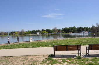 Enlarge photo 45