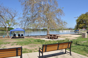 Enlarge photo 51