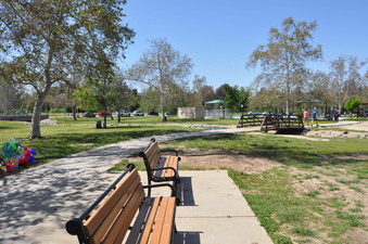 Enlarge photo 52