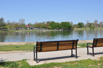 Enlarge photo 57