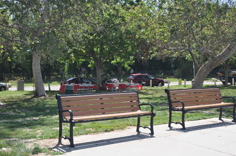 Enlarge photo 62