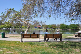 Enlarge photo 64