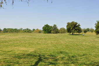 Enlarge photo 65