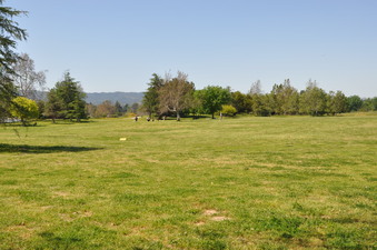 Enlarge photo 66