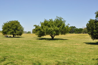 Enlarge photo 67