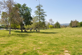 Enlarge photo 68