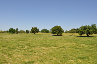 Enlarge photo 69