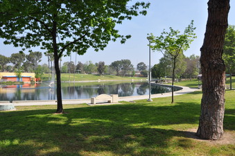 Enlarge photo 17