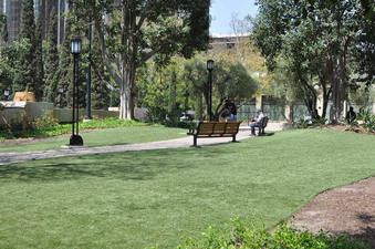 Enlarge photo 6