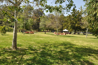 Enlarge photo 7