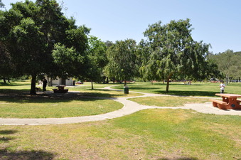 Enlarge photo 16