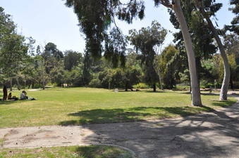 Enlarge photo 17