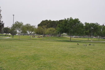 Enlarge photo 21