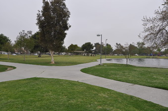 Enlarge photo 25